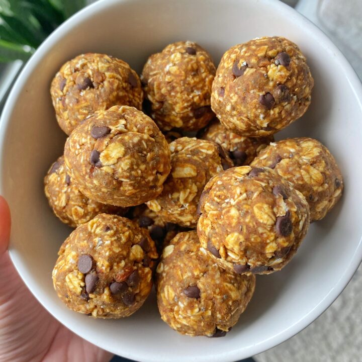 Pumpkin Protein Bites