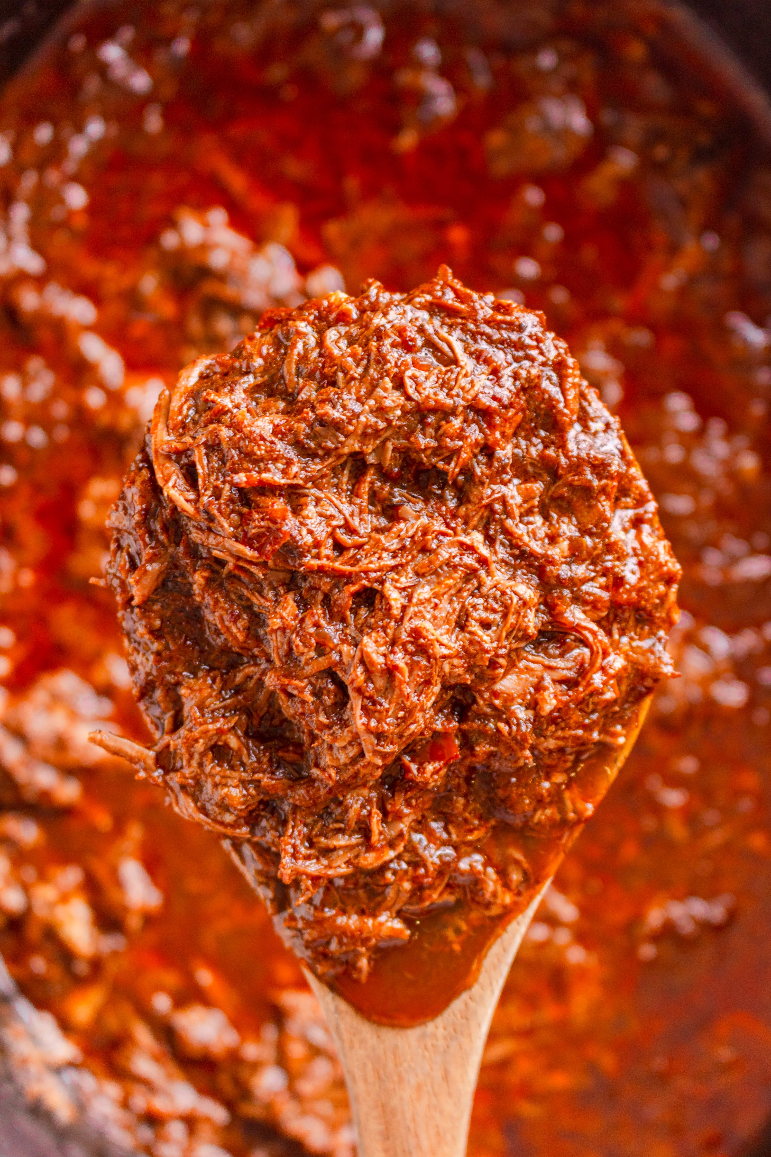 Slow Cooker Birria